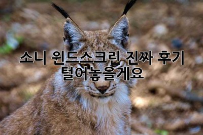 소니 윈드스크린, 진짜 후기 털어놓을게요!