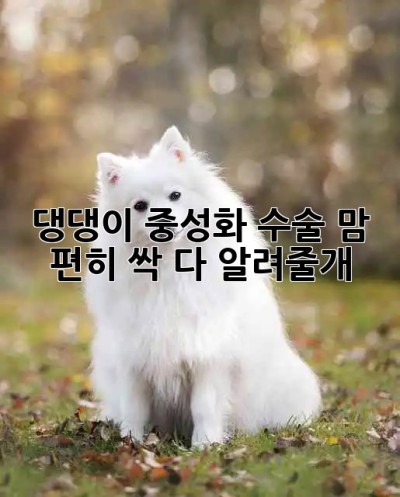 🐶 댕댕이 중성화 수술, 맘 편히 싹 다 알려줄개! 🐕‍🦺