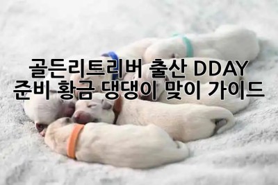 🐶 골든리트리버 출산 D-DAY 준비! 황금 댕댕이 맞이 가이드 🐾