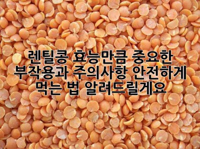 렌틸콩, 효능만큼 중요한 부작용과 주의사항! 안전하게 먹는 법 알려드릴게요