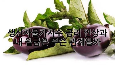생산자물가지수: 금리 인상과 내 월급은 무슨 관계일까? 🤔