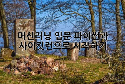 머신러닝 입문: 파이썬과 사이킷런으로 시작하기