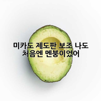 미카도 제도판 보조? 나도 처음엔 멘붕이었어! 😭