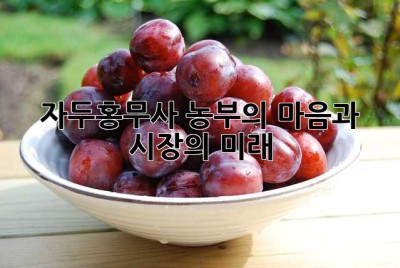 자두홍무사, 농부의 마음과 시장의 미래
