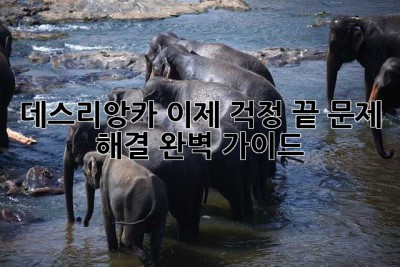 데스리앙카? 이제 걱정 끝! 문제 해결 완벽 가이드!
