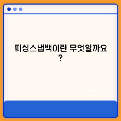 피싱스냅백 핵심 포인트 요약: 낚시를 위한 최고의 모자 선택 가이드