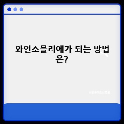 와인소믈리에 되기: 장점, 단점, 그리고 현실적인 성공 전략 완벽 분석