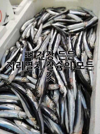 뼈 건강 든든! 지리멸치 칼슘의 모든 것
