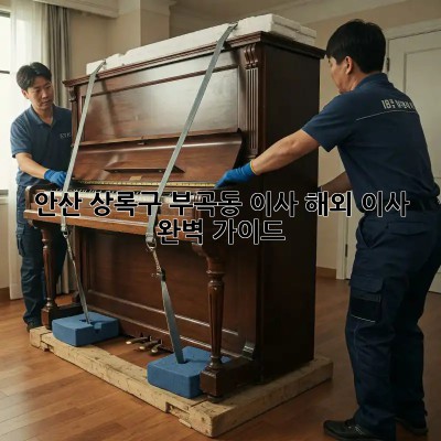 안산 상록구 부곡동 이사, 해외 이사 완벽 가이드 🌍📦