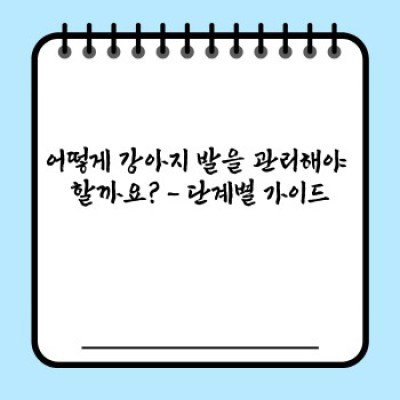 강아지 발 관리: 건강하고 행복한 댕댕이를 위한 필수 가이드