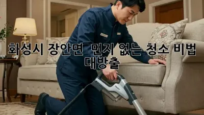 화성시 장안면, 🏡 먼지 없는 청소 비법 대방출! ✨