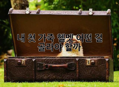 내 첫 가죽 헬멧, 어떤 걸 골라야 할까? 🤔