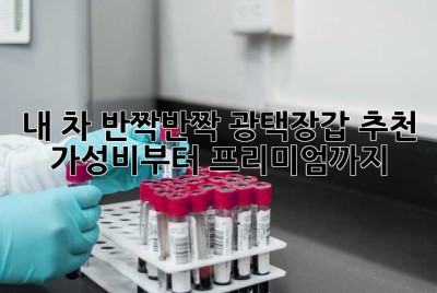 내 차, ✨반짝반짝✨ 광택장갑 추천: 가성비부터 프리미엄까지!