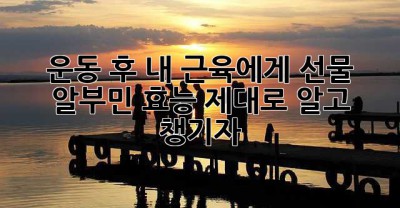 운동 후, 내 근육에게 선물🎁 알부민 효능 제대로 알고 챙기자!