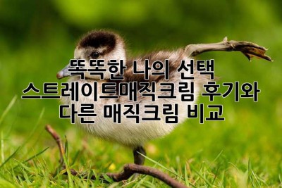 똑똑한 나의 선택! 스트레이트매직크림 후기와 다른 매직크림 비교