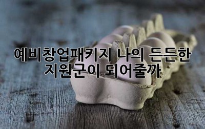 예비창업패키지, 나의 든든한 지원군이 되어줄까?