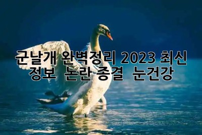 군날개 완벽정리! 2023 최신 정보 & 논란 종결 📢 #눈건강