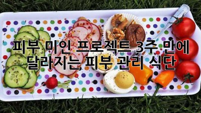 피부 미인 프로젝트: 3주 만에 달라지는 피부 관리 식단