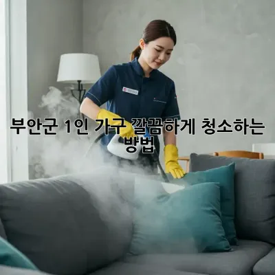 부안군 1인 가구, 깔끔하게 청소하는 방법!