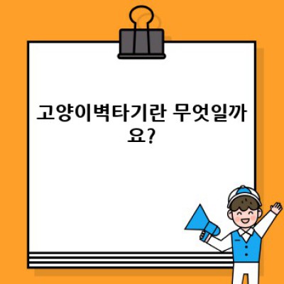 고양이벽타기: 신비로운 고양이의 벽 타기 능력, 그 비밀을 파헤쳐 보자!